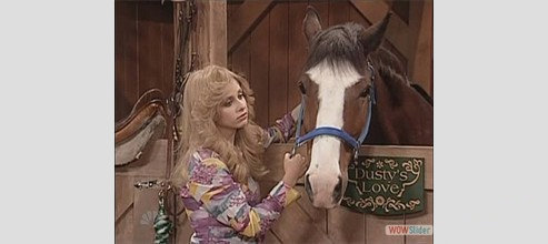 sararh-michelle-gellar-horse-snl sararh-michelle-gellar-horse-snl
