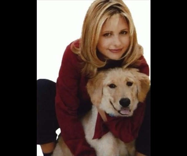 gellar 10