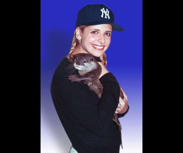 gellar 8