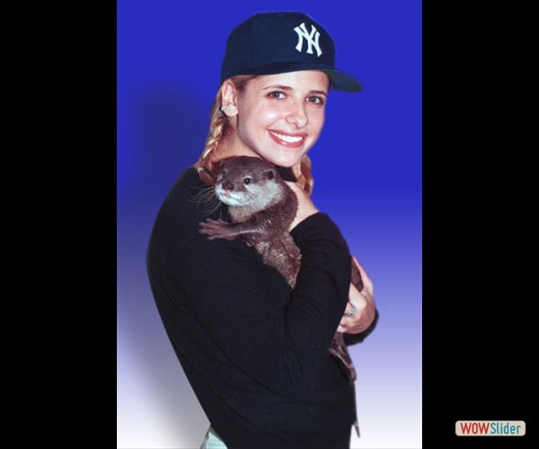sarah-michelle-gellar- (20) sarah-michelle-gellar- (20)