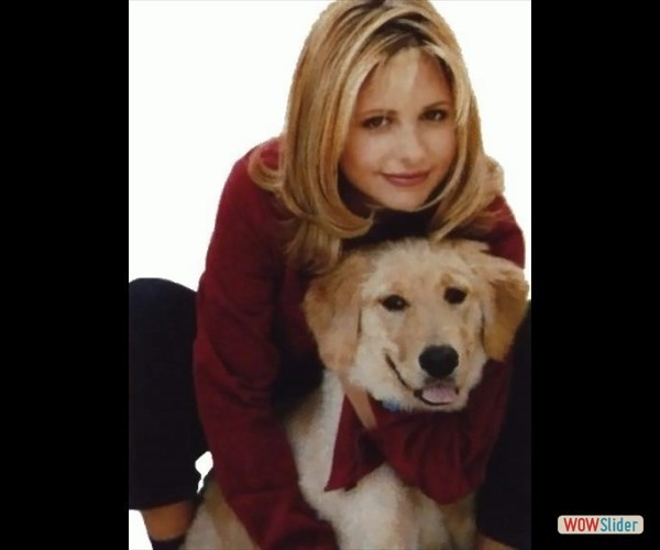 sarah-michelle-gellar- (22) sarah-michelle-gellar- (22)