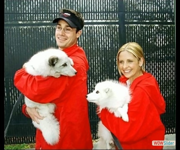 sarah-michelle-gellar- (6) sarah-michelle-gellar- (6)