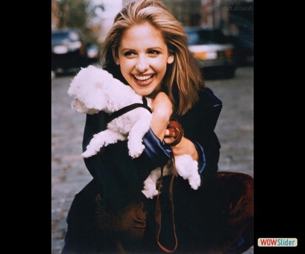 sarah-michelle-gellar- (7) sarah-michelle-gellar- (7)